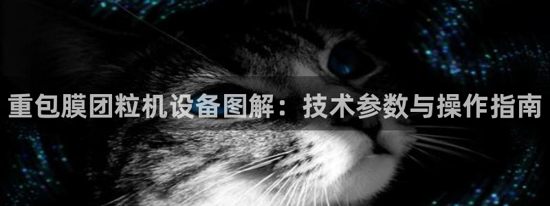 辉达娱乐加q75775稳定