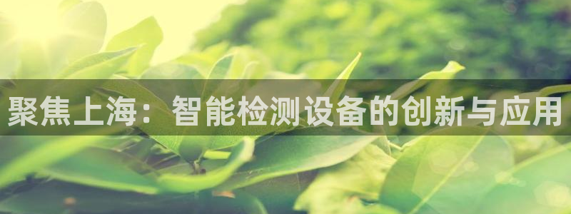 辉达娱乐官方网址