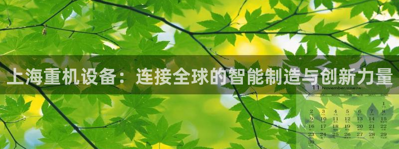 信誉辉达娱乐官方网址：上海重机设备：连接全球的智能制造与创新