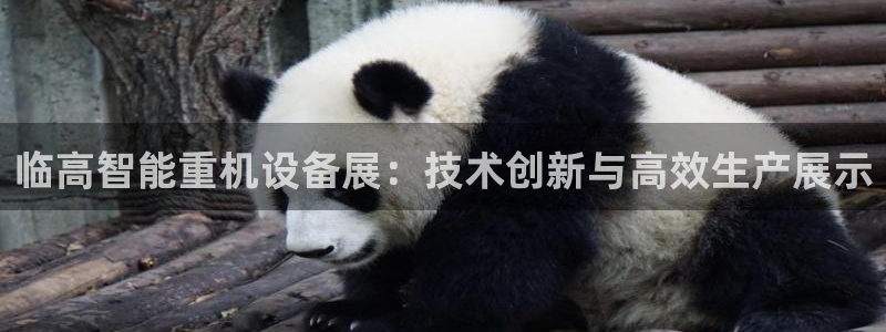 辉达娱乐体育竞猜