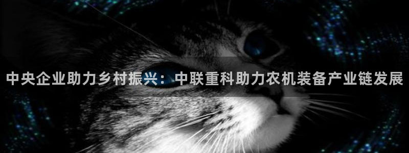 辉达娱乐属于什么档次：中央企业助力乡村振兴：中联重科助力农机