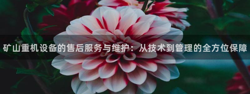辉达娱乐检测：矿山重机设备的售后服务与维护：从技术到管理的全