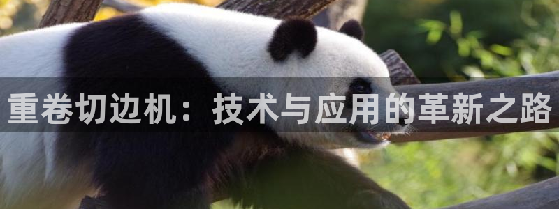 辉达平台娱乐怎么样