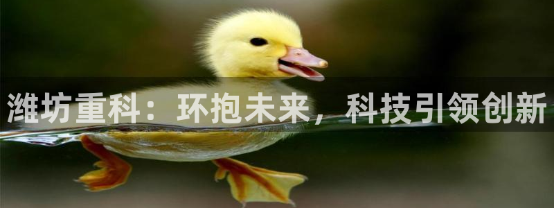 正规辉达娱乐官方网址：潍坊重科：环抱未来，科技引领创新