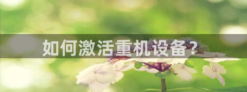 达娱乐辉70667：如何激活重机设备？