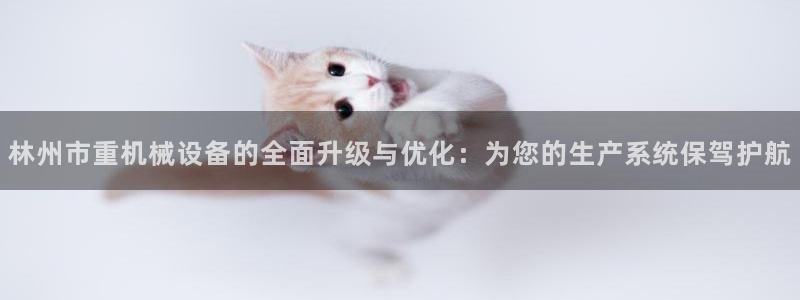 辉达娱乐最新消息新闻：林州市重机械设备的全面升级与优化：为您