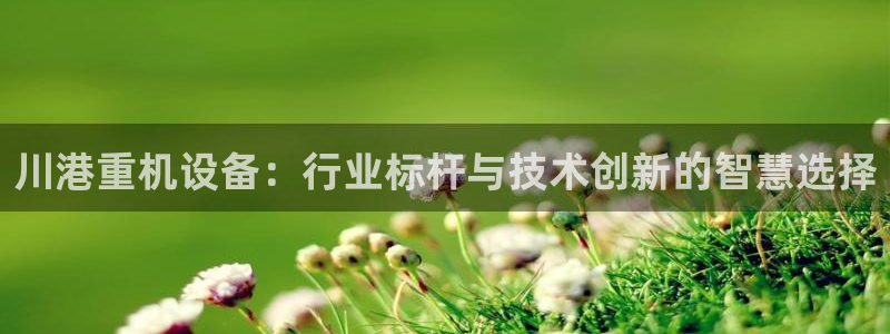 辉达娱乐最新版本更新内容：川港重机设备：行业标杆与技术创新的