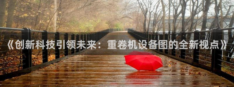 辉达娱乐加q75775：《创新科技引领未来：重卷机设备图的全