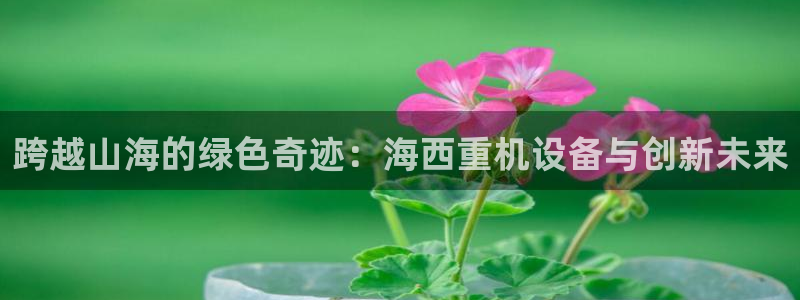 辉达娱乐广东11选5