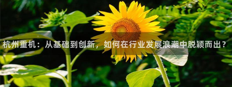 辉达娱乐珈75775