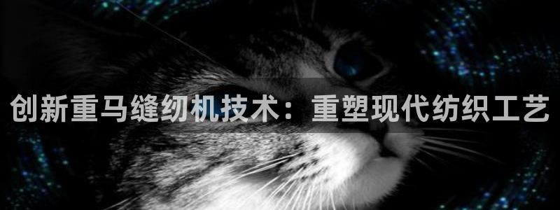 辉达娱乐检测：创新重马缝纫机技术：重塑现代纺织工艺