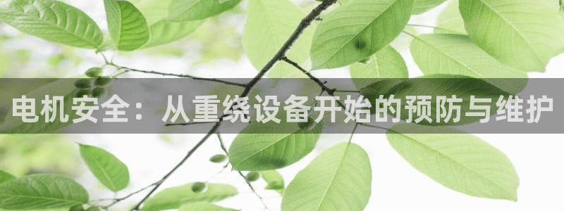辉达娱乐时时彩：电机安全：从重绕设备开始的预防与维护