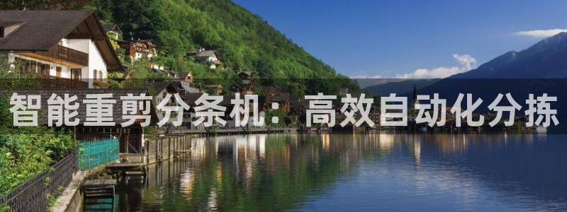 辉达娱乐ag游戏平台：智能重剪分条机：高效自动化分拣