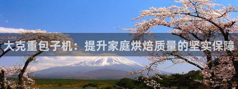 辉达娱乐游戏.直开.中国