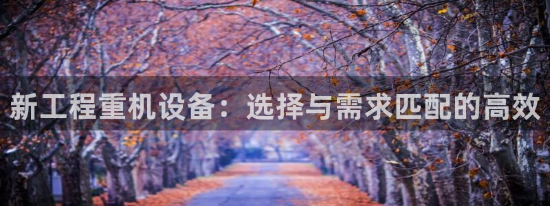 辉达平台注册资金多少