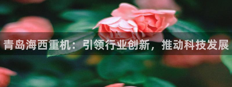 辉达娱乐丿39444