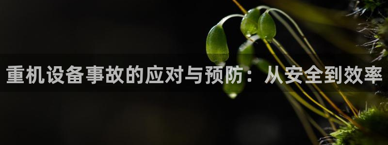 辉达娱乐最新现状