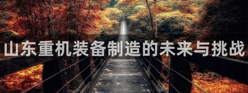 辉达娱乐新疆时时彩：山东重机装备制造的未来与挑战