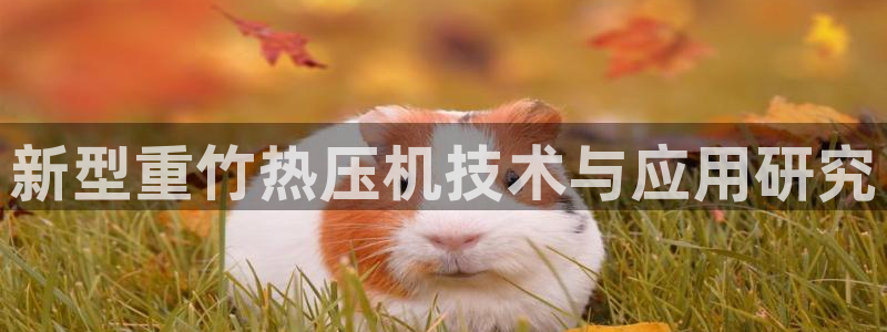 辉达娱乐珈75775