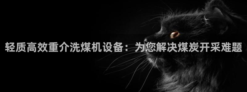 辉达平台注册入口：轻质高效重介洗煤机设备：为您解决煤炭开采难