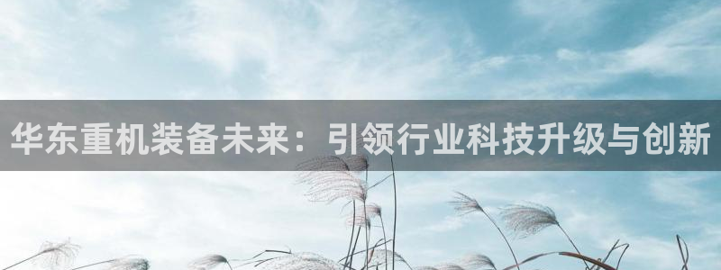 正规辉达娱乐：华东重机装备未来：引领行业科技升级与创新