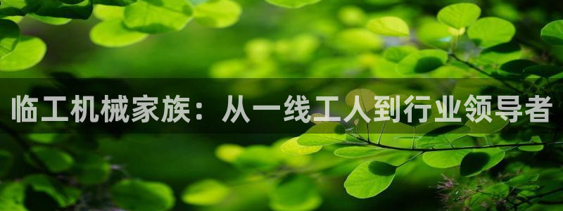 辉达官网登录入口入口