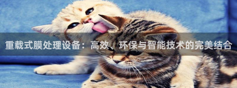 辉达娱乐游戏.直开.中国
