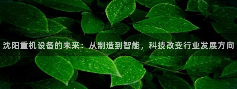 代理辉达娱乐平台