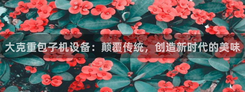 辉达平台官网网站