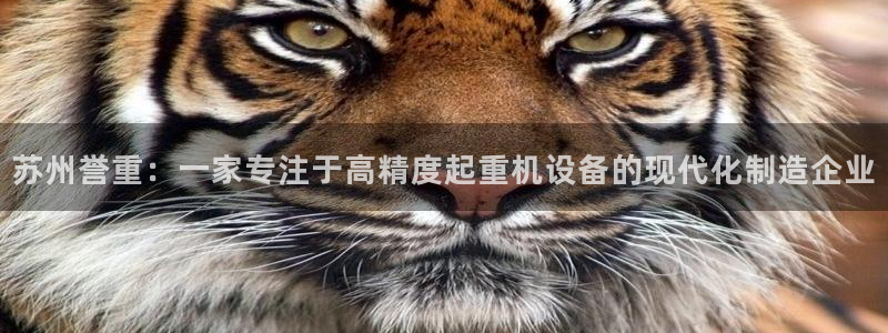 代理辉达娱乐平台