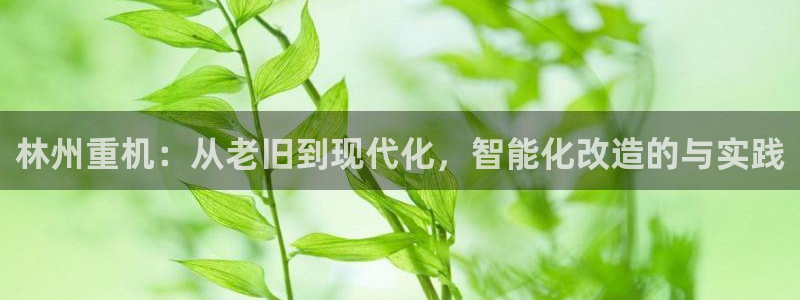 辉达娱乐兼职