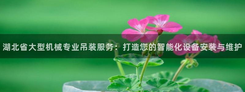 辉达娱乐电子游艺