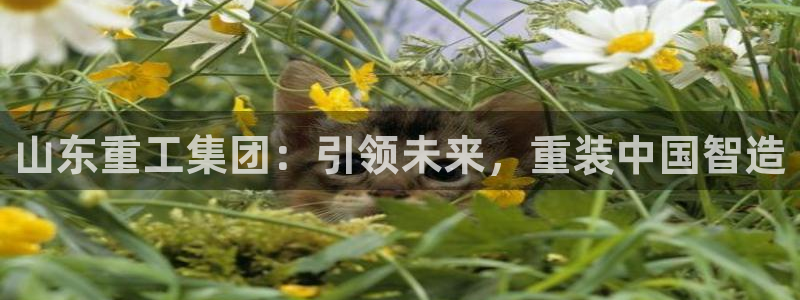 代理辉达娱乐官方网址