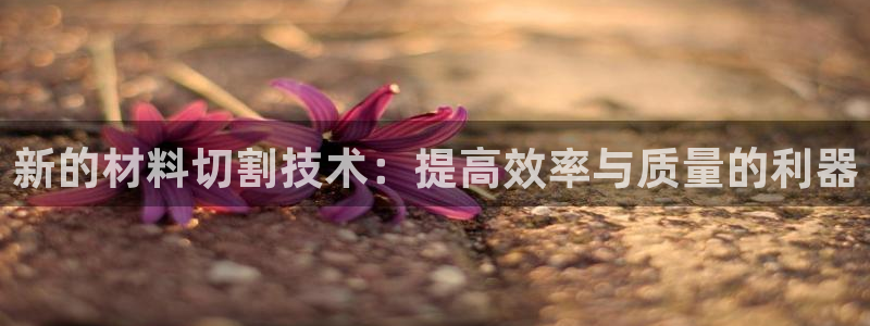 辉达娱乐重庆时时彩注册