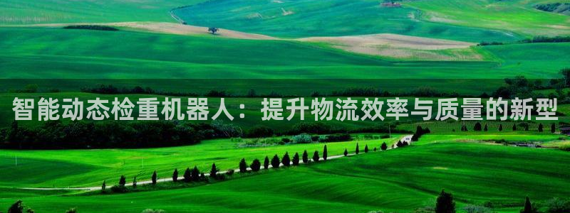 辉达平台注册资金多少