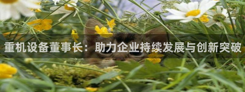 菲律宾辉达娱乐