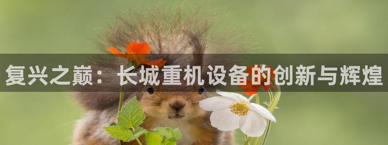 辉达娱乐最新现状