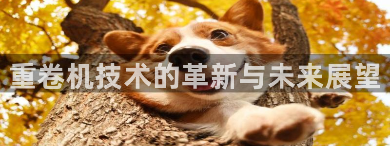 辉达娱乐五39444