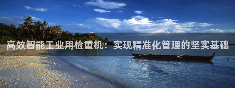 辉达官网登录入口入口