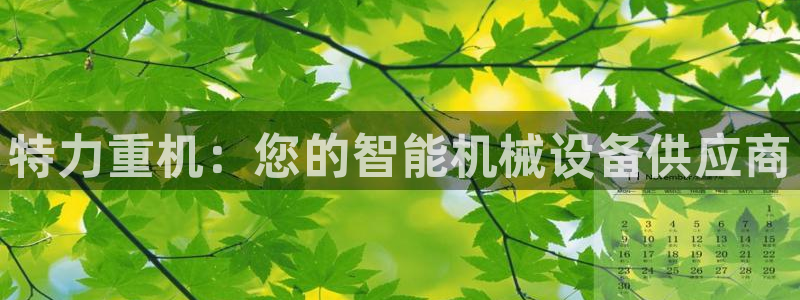 辉达平台注册