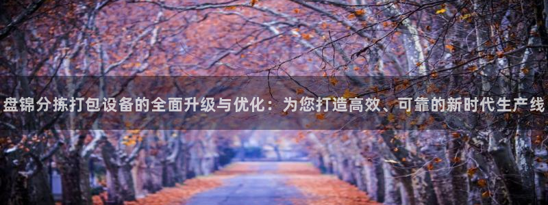 辉达娱乐广东11选5：盘锦分拣打包设备的全面升级与优化：为您
