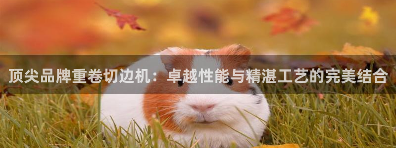 辉达娱乐衤39444