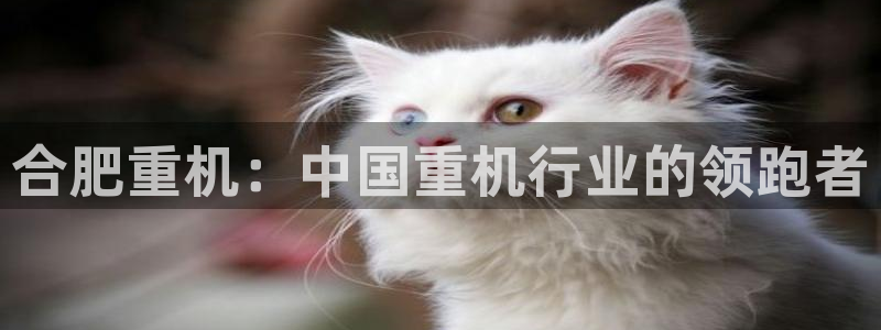 信誉辉达娱乐平台：合肥重机：中国重机行业的领跑者