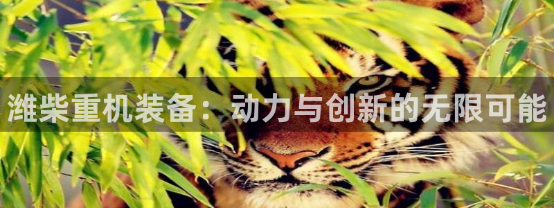 辉达娱乐电子：潍柴重机装备：动力与创新的无限可能