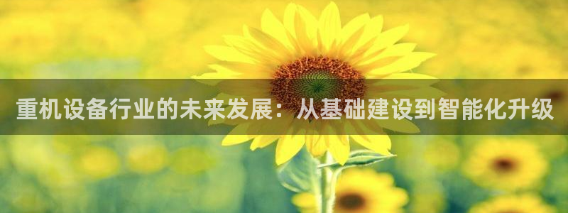 代理辉达娱乐开户注册：重机设备行业的未来发展：从基础建设到智