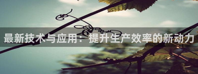 辉达娱乐正规吗：最新技术与应用：提升生产效率的新动力