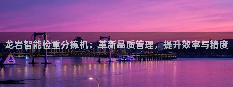 辉达平台注册入口：龙岩智能检重分拣机：革新品质管理，提升效率