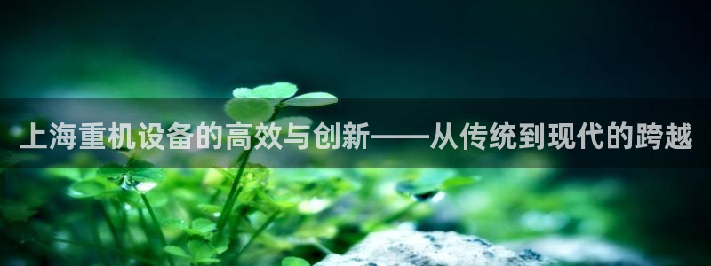 辉达平台官网下载