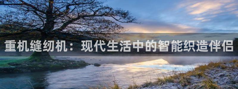 辉达娱乐分红