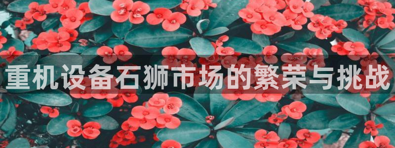 恒达娱乐辉70667